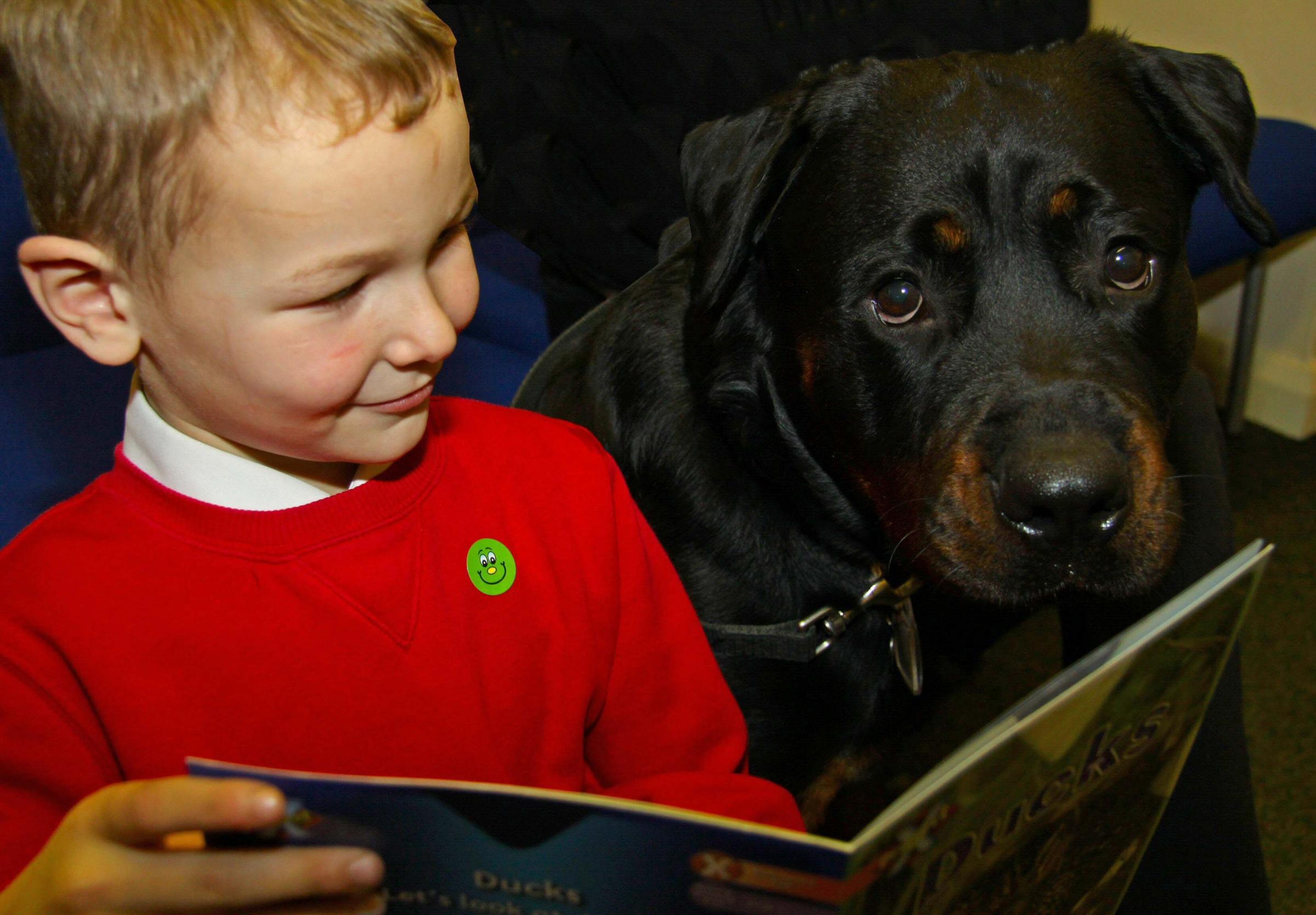STORY TIME: Freya the Rottweiler enjoys a shaggy dog story with Mount Pleasant School pupil Jamie Akers, five, of Darlington - 3515660