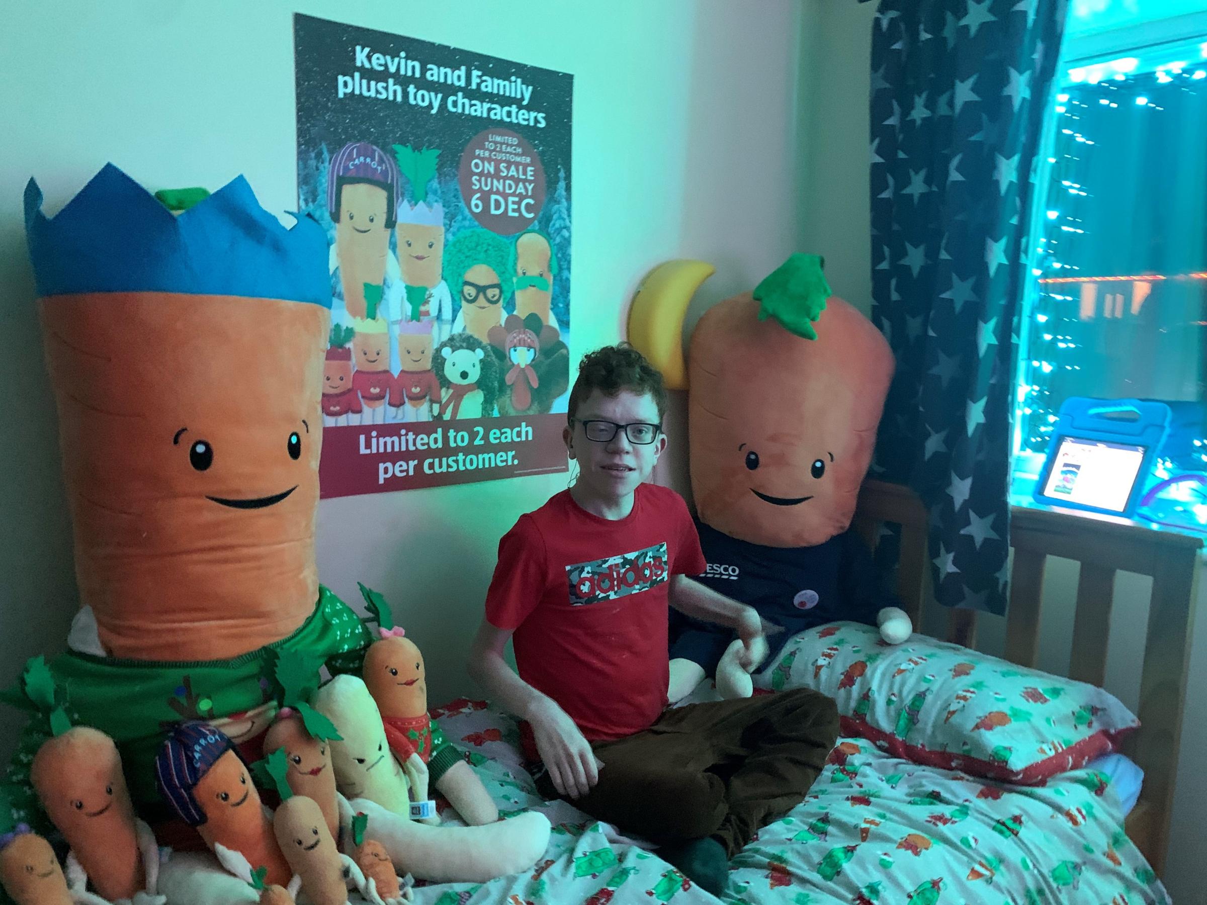 2020 kevin the carrot toys