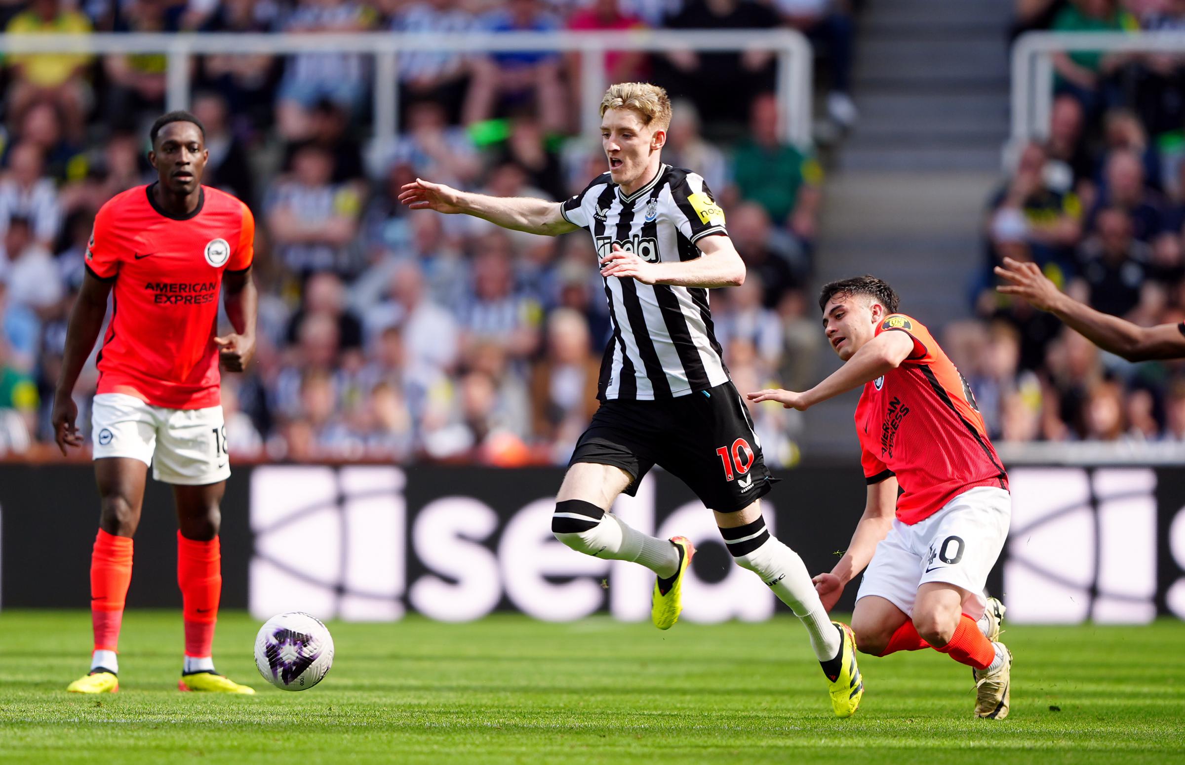 Anthony Gordon's bold prediction ahead of Newcastle's final two games