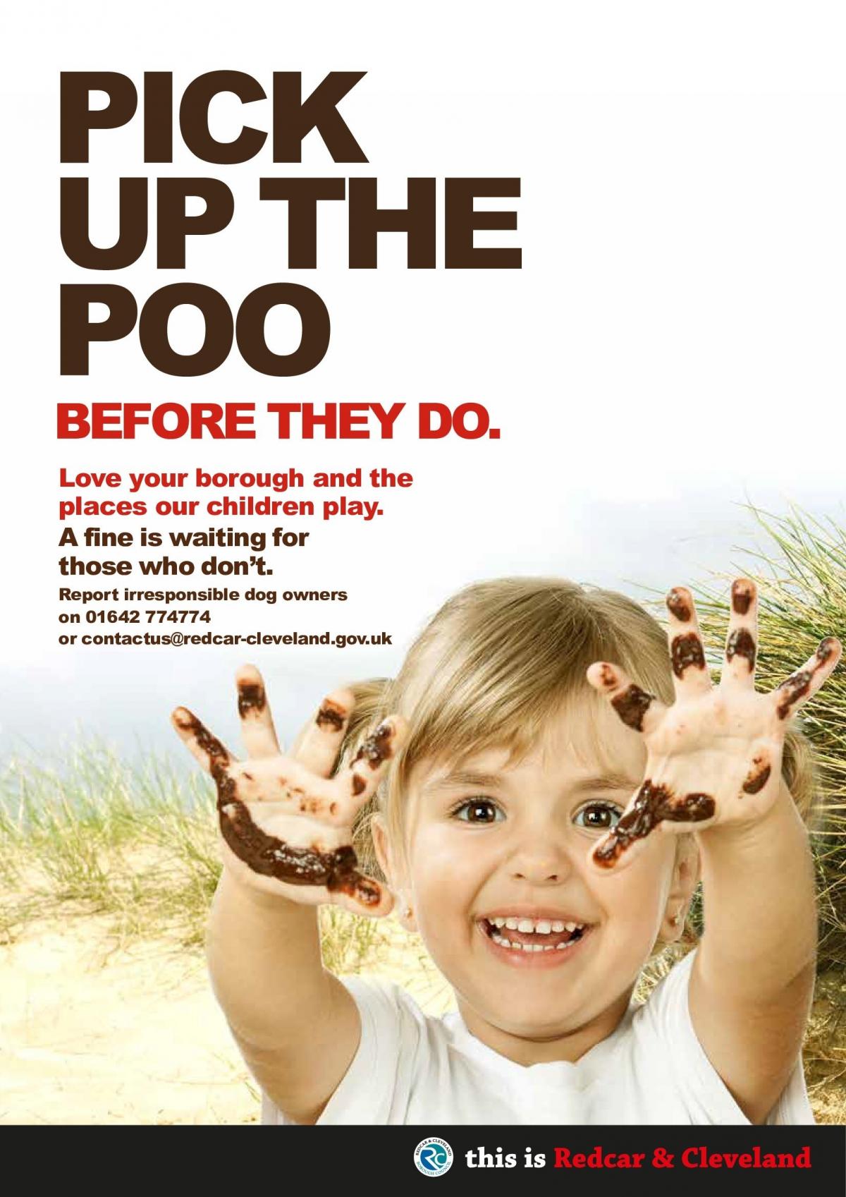 Graphic Poster To Tackle Dirty Dog Owners Behaviour The Northern Echo